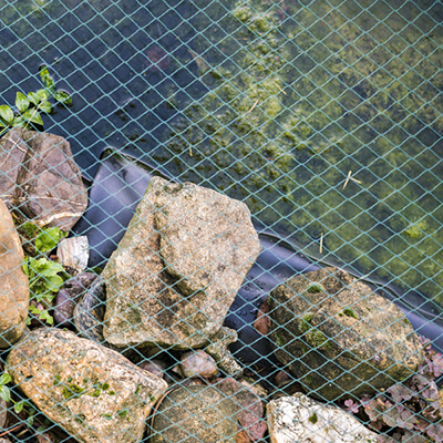 Pond Covers