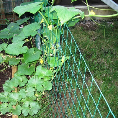Climbing Plant Support Net